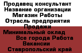 Продавец-консультант › Название организации ­ Магазин Работы › Отрасль предприятия ­ Продажи › Минимальный оклад ­ 27 000 - Все города Работа » Вакансии   . Ставропольский край,Невинномысск г.